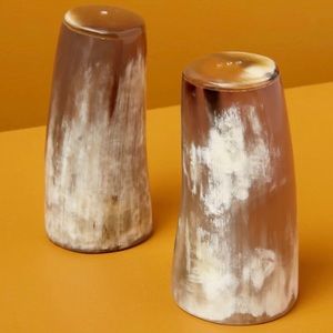 Horn Salt & Pepper Set (beHOME brand purchased from East Fork)